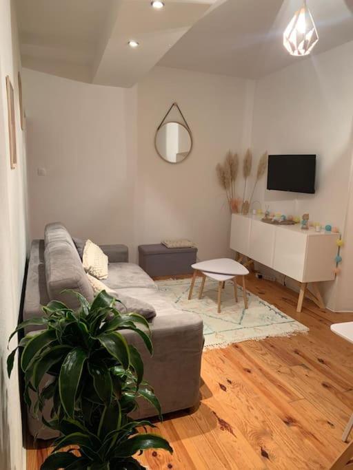 Le Petit Cocon Nimois Daire Nîmes Dış mekan fotoğraf