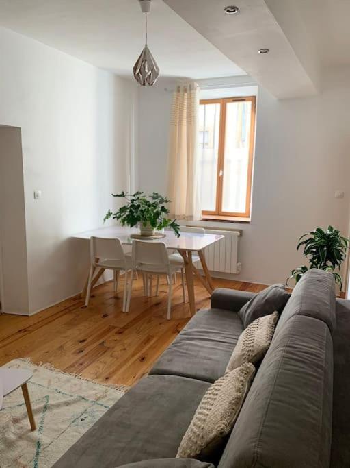 Le Petit Cocon Nimois Daire Nîmes Dış mekan fotoğraf